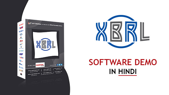 Gen XBRL Software Demo Hindi